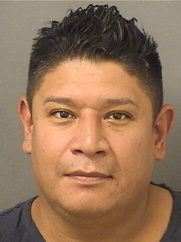  JESUS HERNANDEZ LOPEZ Results from Palm Beach County Florida for  JESUS HERNANDEZ LOPEZ