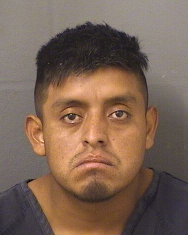  NOE LUCAS PEREZ Photo For  NOE LUCAS PEREZ