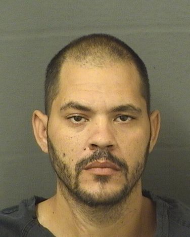  YEANDRYS IGLESIAS Results from Palm Beach County Florida for  YEANDRYS IGLESIAS