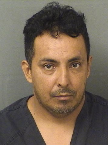  ANGEL JEHOVANY FUENTESMARQUEZ Results from Palm Beach County Florida for  ANGEL JEHOVANY FUENTESMARQUEZ