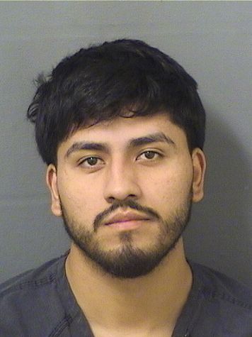  HECTOR DONALDO TELLO TELLO Results from Palm Beach County Florida for  HECTOR DONALDO TELLO TELLO