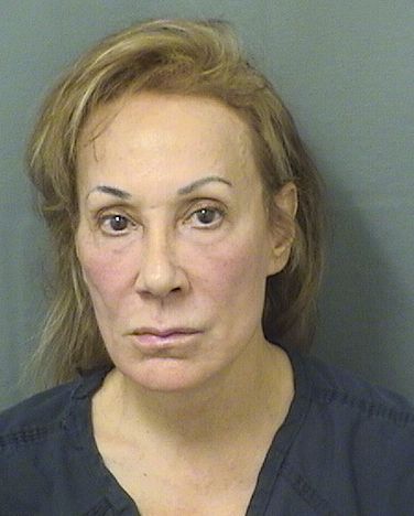  VERONICA L GHAZAL Results from Palm Beach County Florida for  VERONICA L GHAZAL