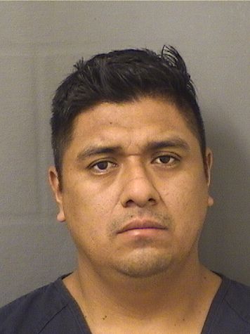  SANTIAGO DEJESUS CRUZ HERNANDEZ Results from Palm Beach County Florida for  SANTIAGO DEJESUS CRUZ HERNANDEZ