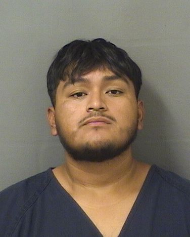  LEONZO MIGUEL JOSE Results from Palm Beach County Florida for  LEONZO MIGUEL JOSE