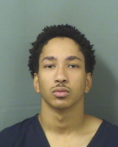  ROMAN LEO CABALLERO Results from Palm Beach County Florida for  ROMAN LEO CABALLERO