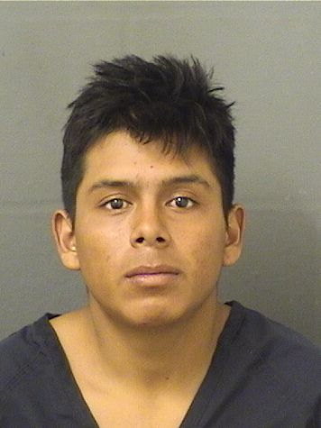  ANIBEL PEREZDIAZ Results from Palm Beach County Florida for  ANIBEL PEREZDIAZ