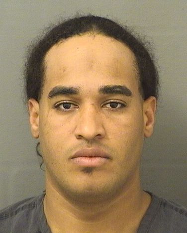  MARIO HERNANDEZCASTANO Results from Palm Beach County Florida for  MARIO HERNANDEZCASTANO