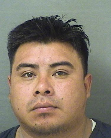 MARGARITO CARRILLO RAMIREZ Results from Palm Beach County Florida for  MARGARITO CARRILLO RAMIREZ  MARGARITO CARRILLO RAMIREZ Results from Palm Beach County Florida for  MARGARITO CARRILLO RAMIREZ