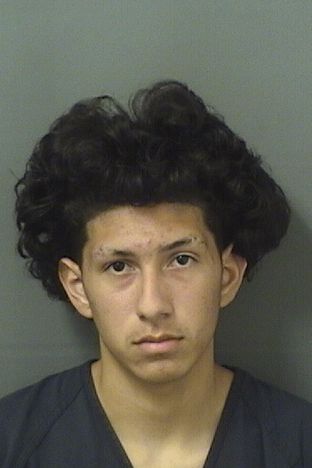 XAVIER SOLIS Results from Palm Beach County Florida for  XAVIER SOLIS  XAVIER SOLIS Results from Palm Beach County Florida for  XAVIER SOLIS