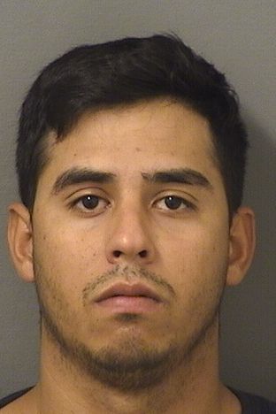 FERNANDO LUGO ORTIZ Results from Palm Beach County Florida for  FERNANDO LUGO ORTIZ  FERNANDO LUGO ORTIZ Results from Palm Beach County Florida for  FERNANDO LUGO ORTIZ