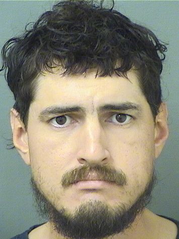 LENNY MIEDZIALKO Results from Palm Beach County Florida for  LENNY MIEDZIALKO  LENNY MIEDZIALKO Results from Palm Beach County Florida for  LENNY MIEDZIALKO