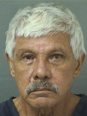  ANGEL DELVALLE Results from Palm Beach County Florida for  ANGEL DELVALLE