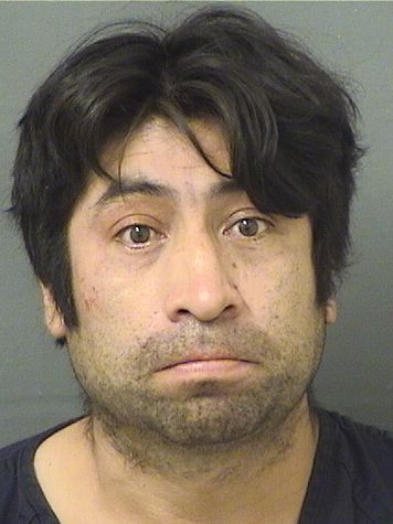  ANGEL CRUZ LOPEZ Resultados de la busqueda para Palm Beach County Florida para  ANGEL CRUZ LOPEZ