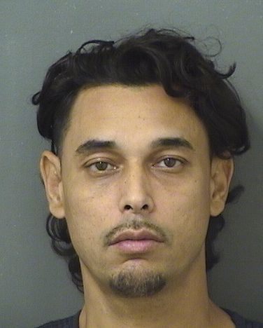  JAMES STAPLETON KRICK Resultados de la busqueda para Palm Beach County Florida para  JAMES STAPLETON KRICK