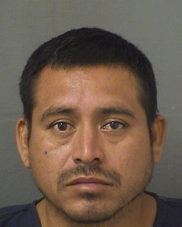  ANTONIO LOPEZ Resultados de la busqueda para Palm Beach County Florida para  ANTONIO LOPEZ