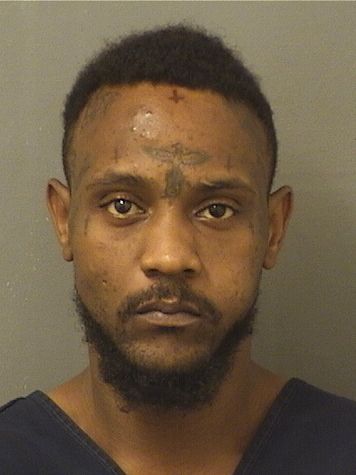  MICHAEL M TAYLOR Resultados de la busqueda para Palm Beach County Florida para  MICHAEL M TAYLOR