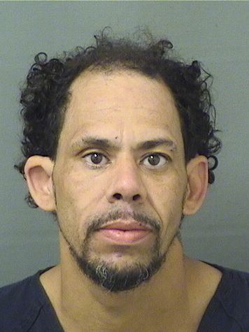  MICHAEL A VALDEZ Resultados de la busqueda para Palm Beach County Florida para  MICHAEL A VALDEZ