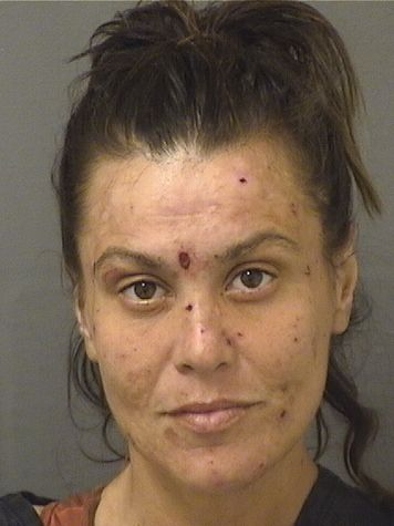  LAUREN ANN HEALY Photo For  LAUREN ANN HEALY