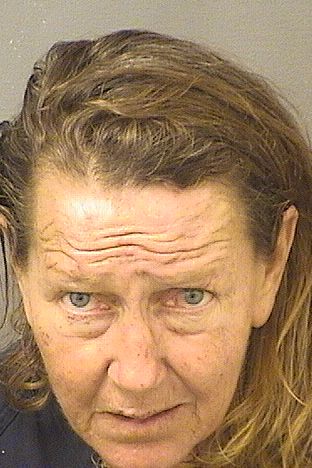  SHELLEY ANNE SLOAN Results from Palm Beach County Florida for  SHELLEY ANNE SLOAN