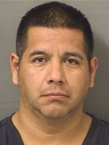  MIGUEL M JIMENEZ GARCIA Photo