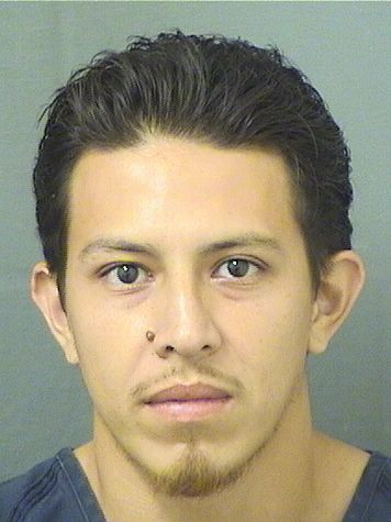  ANDERSON ALEXIS MONTOYA ECHEVERRIA Results from Palm Beach County Florida for  ANDERSON ALEXIS MONTOYA ECHEVERRIA