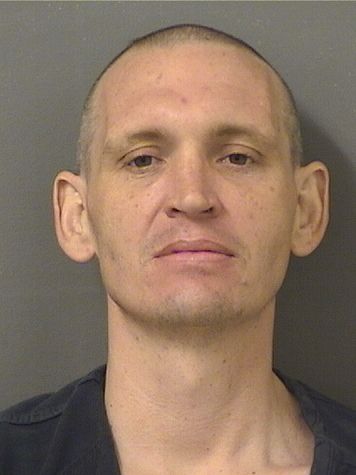  DYLAN WALLACE CIRILLO Photo For  DYLAN WALLACE CIRILLO