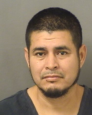  JOSE R COLLAZO Photo