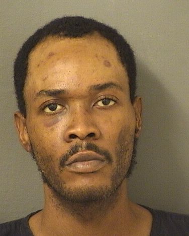  GERSON DELMAS Resultados de la busqueda para Palm Beach County Florida para  GERSON DELMAS