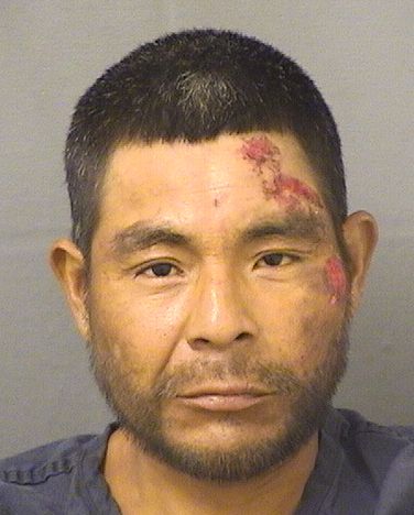  DEIGO MODESTOTHOMAS Results from Palm Beach County Florida for  DEIGO MODESTOTHOMAS