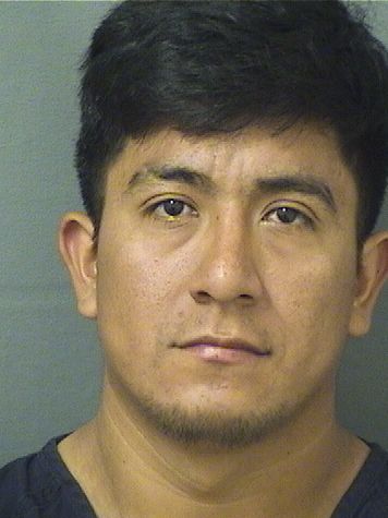  HARRY MAZARIEGOS BRAVO Photo