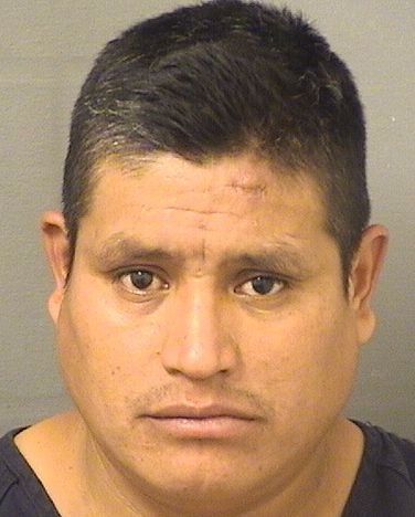  RAYMUNDO N DOMINGO Results from Palm Beach County Florida for  RAYMUNDO N DOMINGO