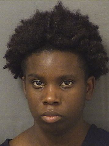  SHUNAIRRIIAE QUINCE Photo