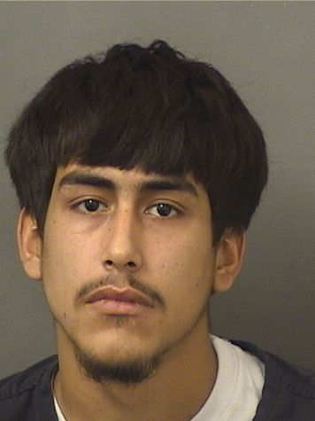  SAGE CHRISTOPHER SCHUSTER Photo For  SAGE CHRISTOPHER SCHUSTER