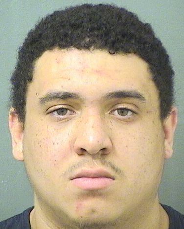  BRANDON MICHAEL HODGKINS Results from Palm Beach County Florida for  BRANDON MICHAEL HODGKINS