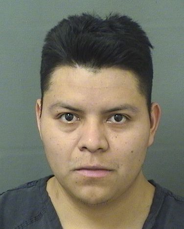  EDGAR GELIAS PEREZ VASQUEZ Results from Palm Beach County Florida for  EDGAR GELIAS PEREZ VASQUEZ