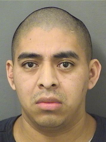  DAVIS ADOLFO LUCCATU Results from Palm Beach County Florida for  DAVIS ADOLFO LUCCATU