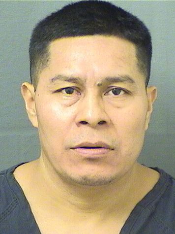  CRISTOBAL NICOLAS ALONZO Results from Palm Beach County Florida for  CRISTOBAL NICOLAS ALONZO