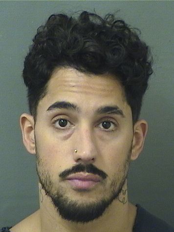  MATTHEW N CONSTANTINO Resultados de la busqueda para Palm Beach County Florida para  MATTHEW N CONSTANTINO