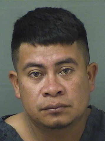  CRISTIAN JOSE LOASIGA Resultados de la busqueda para Palm Beach County Florida para  CRISTIAN JOSE LOASIGA