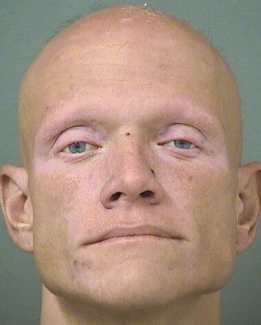  DAVID B MORROW Photo