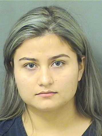  AILEEN LARISSA PEREZ Results from Palm Beach County Florida for  AILEEN LARISSA PEREZ