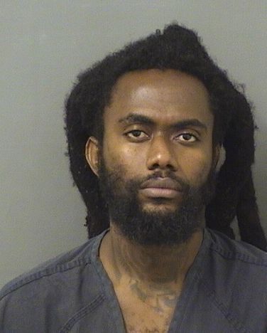  SWINY METELLUS Photo