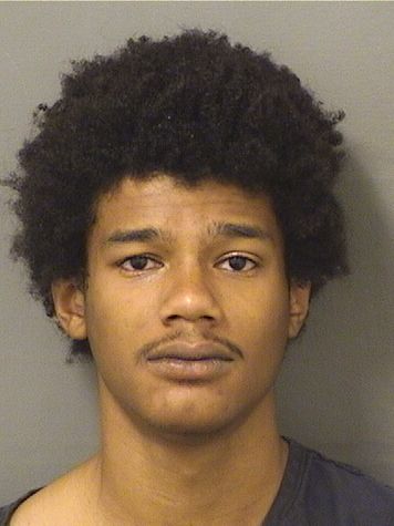  CHRISTIAN ROGERS Results from Palm Beach County Florida for  CHRISTIAN ROGERS