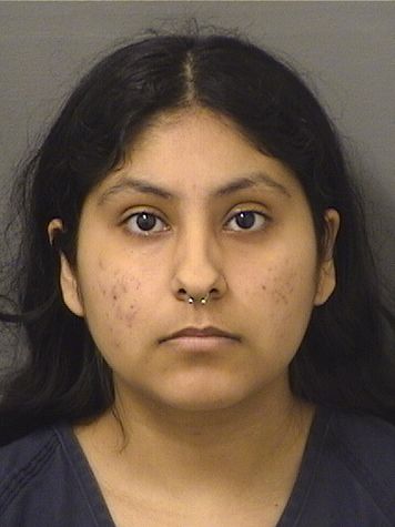  ANJELINA SOPHIA BAIG Photo