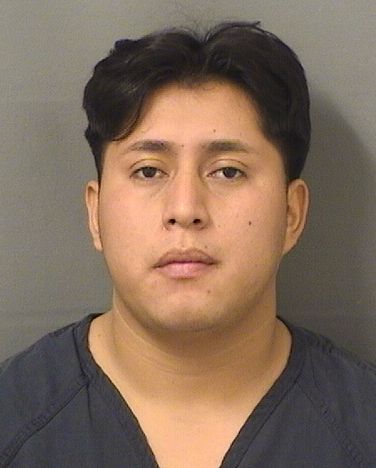  GAUDY EDINSON PELICO VICENTE Photo