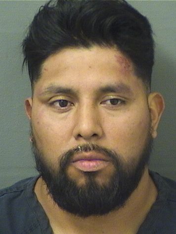  ELFEGO ELACIO DOMINGO SILVESTRE Resultados de la busqueda para Palm Beach County Florida para  ELFEGO ELACIO DOMINGO SILVESTRE