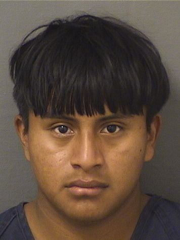  CARLOS MANUEL JOSESALVADOR Resultados de la busqueda para Palm Beach County Florida para  CARLOS MANUEL JOSESALVADOR