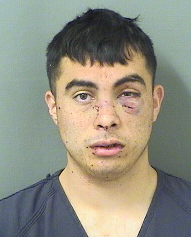  BRANDON TORRES Resultados de la busqueda para Palm Beach County Florida para  BRANDON TORRES