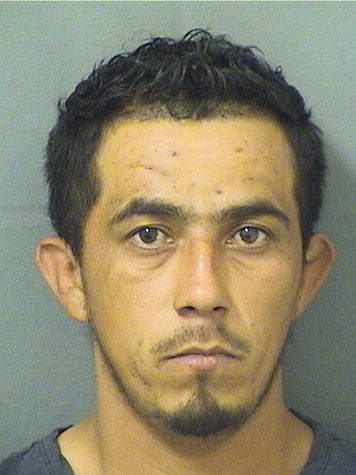  MANUEL C GONZALEZPEREZ Results from Palm Beach County Florida for  MANUEL C GONZALEZPEREZ