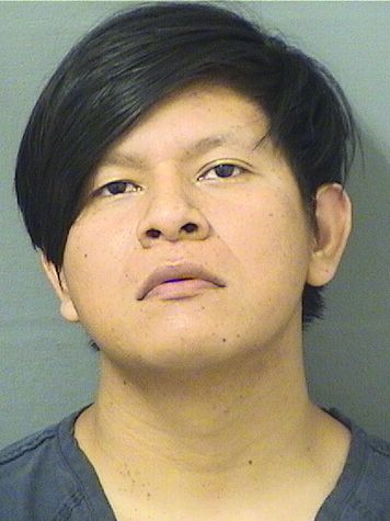  FRANCISCO PEREZ Results from Palm Beach County Florida for  FRANCISCO PEREZ